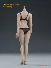 1/6 Seamless Female Body Phicen Suntan TBLeague S12D 1/6 Big Bust For 12in Doll