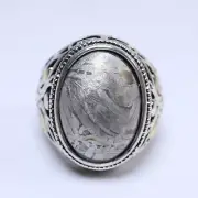 Meteorite Ring, Natural Meteorite Carving Ring, Adjustable Size AB212