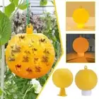 Fruit Fly Sticky Balls Needle Yellow/Green For Control Balls And H8M4
