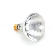 Giles 25356 Lamp, 150W, 130V Coated