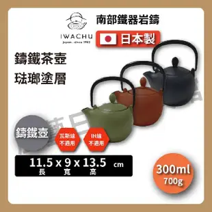 【IWACHU 岩鑄】多色鑄鐵壺｜0.3L 3型急須｜鐵壺｜急需｜泡茶｜琺瑯塗層(日本南部鐵器)