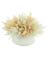Creative Displays Cream & Beige Pampas Floral Display
