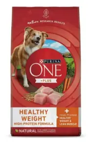 Purina ONE +Plus Healthy Weight High-Protein Formula Adult Dry Dog Food 31.1 lb.