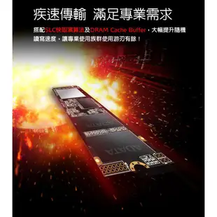 威剛 SX8200 PRO 256G 512G 1TB PCIe M.2 2280 附散XPG熱片 固態硬碟 SSD