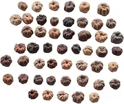 Wswqop 50pcs Mini Putka Pods, Natural Dried Fruit Decor, Bowl Filler, Miniature Pumpkins, Vase Filler, Mini Pumpkin Pods for Potpourri