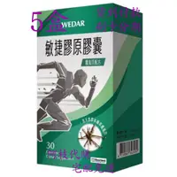 在飛比找蝦皮購物優惠-💯阿枝代購 現代貨  💯 薇達 WEDAR 敏捷膠原新魔鬼爪