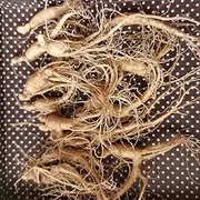 Small Bean Ginseng,Ginseng That Made of Soybean,pure Bean Ginseng,wild Bean Ginseng,natural Small Bean Ginseng,organic Bean Ginseng,xioadoushen,dried Small Bean Ginseng (1000 Grams /2.20 lbs)