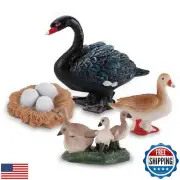 Life Cycle of Swan Toys Black Geese Figurines Realistic Farm Animals Preschoo