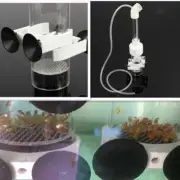 Cichlids Tumbler Fish Hatchery Incubator Eggs Mouth-brooding - White, S