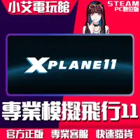 在飛比找蝦皮購物優惠-【小艾電玩館】Steam 專業模擬飛行11 + DLC6個 