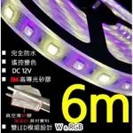 露營LED燈條 完全防水6米雙模LED設計 +遙控器＋「丹尼獅」12V變壓器天幕客廳帳【A01】層板燈 間接照明露Q