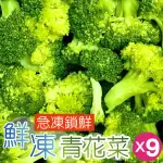 【田食原】IQF鮮凍熟青花菜800GX9包(綠花椰菜 方便即食 冷凍蔬菜 健康減醣 健身餐 低熱量 超級食物)