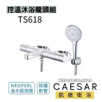 在飛比找蝦皮購物優惠-Caesar 凱撒衛浴 TS618 溫控 控溫沐浴混合龍頭(