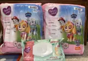 Lot of 2 Girls Parent’s Choice Training Pants, 2T-3T, 24ct. & Flushable Wipes