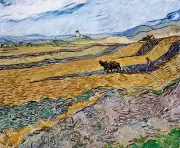 Enclosed Field with Ploughman Painting by Vincent van Gogh Reproduction