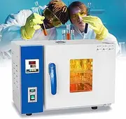 600w Lab Forced Air Convection Drying Oven, 15L Constant Temperature Blast Drying Oven, Industrial Digital Lab Thermostatic Electric Incubator Box, Stainless Steel Heat Industrial Lab