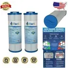 Quality Replacement Pool Filter Cartidges for Clear, Clean Water - 2-Pack