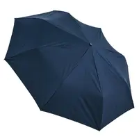 在飛比找媽咪愛MamiLove優惠-Rainstory - 抗UV雙人自動傘-極致藍-自動開收傘