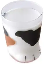 TOKYO MATCHA SELECTION - Cat Glass Cup - Coco - 3 Design [Standard Ship by SAL: NO Tracking Number & Insurance] (Calico)