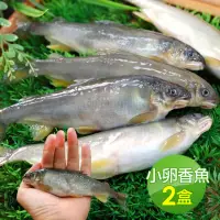 在飛比找momo購物網優惠-【築地一番鮮】宜蘭純淨爆卵母香魚2盒(11-17尾裝/920