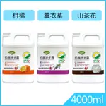 潔芬 抗菌洗手乳4000ML補充桶｜柑橘 山茶花 薰衣草｜✅SNQ認證商品 SGS合格｜台灣製造 抗菌洗手露