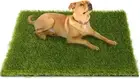 Artificial Grass, 48 X 32 Inches Fake Grass for Dogs, Reusable Dog Grass Pee Pad