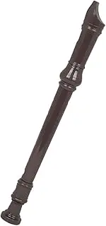 EXQUIMEUBLE Beginner Friendly Recorder Flute 8 Hole for Boys and Girls Students and Music Education
