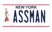 ASSMAN - Cosmo Kramer from Seinfeld - Metal License Number Plate FREE POST