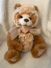 EINSTEIN CHARLIE BEARS 2022 16.5" PLUMO BEAR