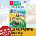 【高雄闔家電玩】任天堂‎NINTENDO遊戲NS 集合吧動物森友會 動森 生活模擬 狸克 無人島 經營 西施惠