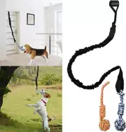 Spring Pole Dog Rope Toys Outdoor Dog Tug of War Toy for Pitbull Medium to La...