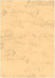 Card Stock marmoleada DIN A3 200 GR. Ochre Package of 100 H