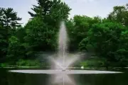 Scott Aerator Skyward Fountain 1/2 HP 230V With 70 ft. of Power Cord Model 13