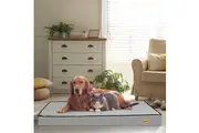 Vibe Geeks Gray Orthopedic Pet Calming Bed Soft Sponge Foam Base with Removable Cover