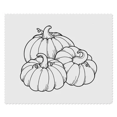 2 x 'Pumpkin Patch' Microfibre Lens / Glasses Cleaning Cloths (LC00022752)