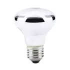(100W)220-230V Night Heat Light Lamp Bulb For Bird Snake Reptile Pet