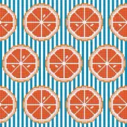 Grapefruit Pillow 9x9” Hand Painted Needlepoint Canvas