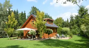 Beautiful wooden villa on a large private site on the Veluwe