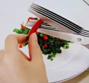 5 Layer Salad Scissors, Cutting Herbs + Salads. Stainless Steel. Free Shipping.