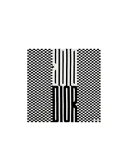 Dior Homme Logo Printed Checkerboard Scarf One size