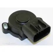 RAE Throttle Position Sensor - TP083