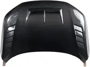 Carbon Fiber Engine Hood Compatible for Honda Civic 2022-204 Upgrade Type R FL5 Hood 11th Gen Civic Hood(Jonel Manicdao)