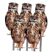 Owl to Keep Birds Away, 5 Pack Bird Scare Owl Fake Owl, Angry Owls 5pc