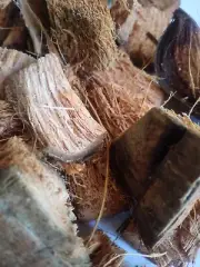 Ceylon Coconut Husk Chips 100% natural Growing Media for Anthurium & Orchids