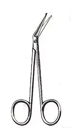 12Angular Scissors Surgical Plastic Surgical Instrument