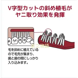 ［京之物語］SUNSTAR 樂垢牙刷(大刷頭/小刷頭)V型切角 牙刷 日本牙刷 日本製 現貨