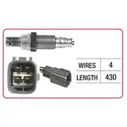 RAE Oxygen Sensor - OX430