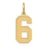 14k Yellow Gold 14k Medium Satin Number 6 Charm