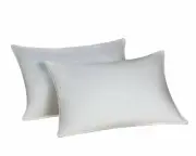 Envirosleep Dream Surrender Queen Pillow Set. (2 Pillows)