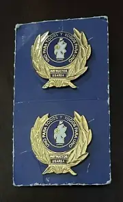 School of America Instructor Pin Pair
